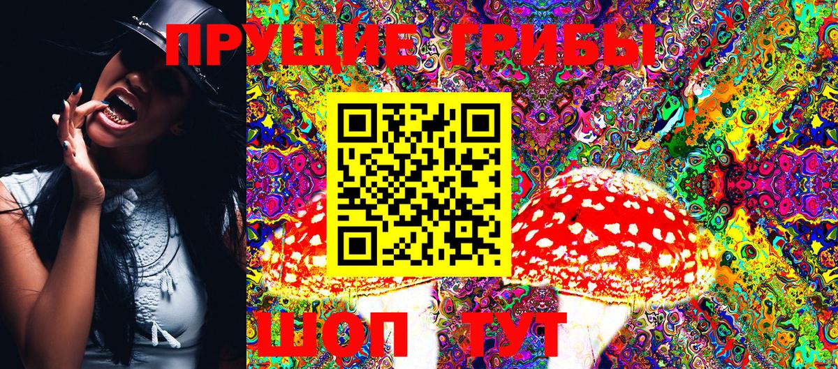 Псилоцибиновые грибы MAGIC MUSHROOMS  Псилоцибиновые грибы прущие грибы  Обнинск  Вход с VPN 